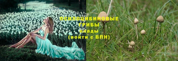 мдма Медногорск